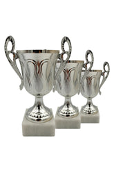 CTS 143 | SET de 3 Cupe Sportive - TrophyShop